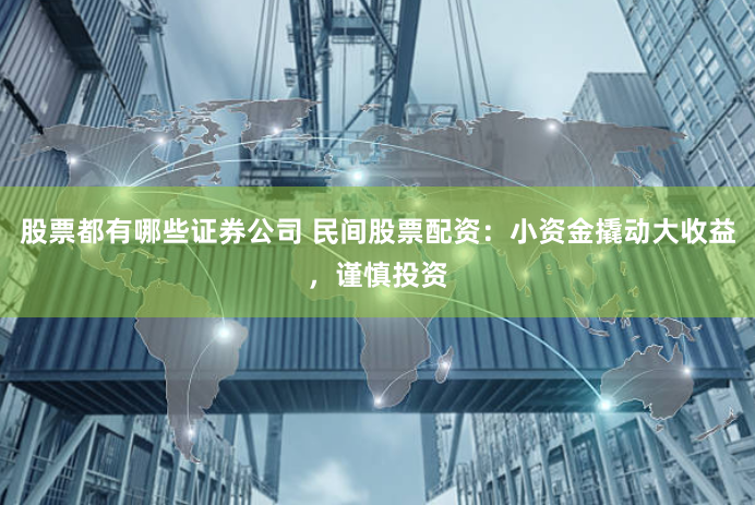 股票都有哪些证券公司 民间股票配资：小资金撬动大收益，谨慎投资