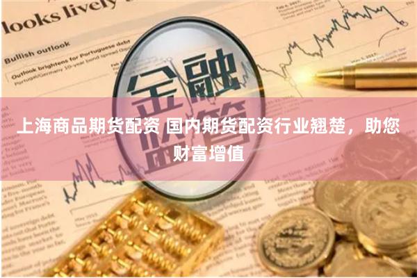 上海商品期货配资 国内期货配资行业翘楚，助您财富增值