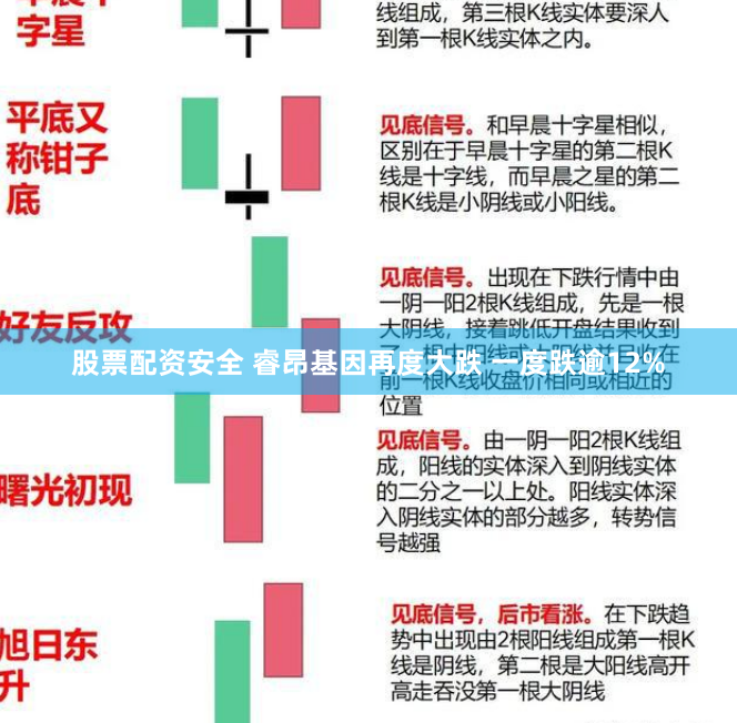 股票配资安全 睿昂基因再度大跌 一度跌逾12%