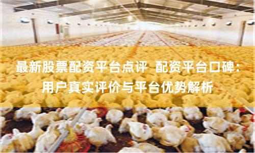 最新股票配资平台点评  配资平台口碑：用户真实评价与平台优势解析