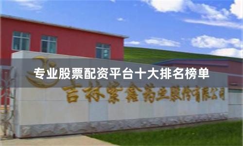 专业股票配资平台十大排名榜单